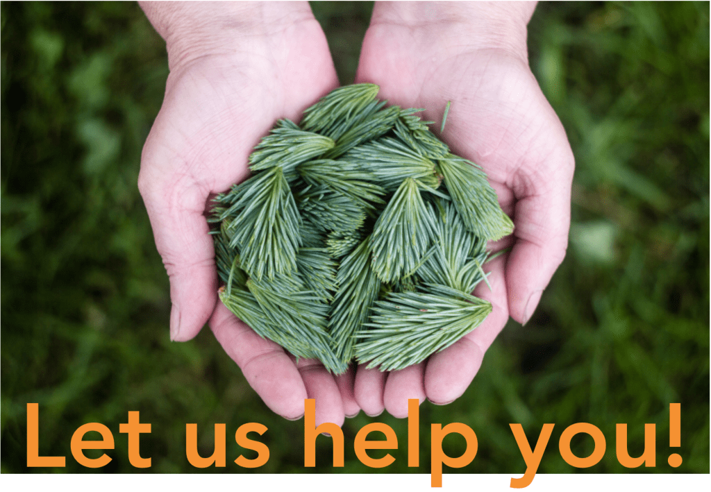 Screen Shot 2015-08-11 at 7.35.32 PM